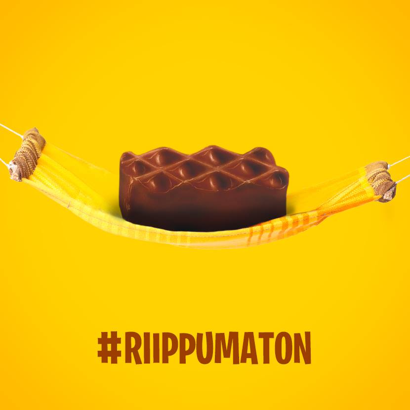 11905382_10153109665976947_7951355710692122803_n